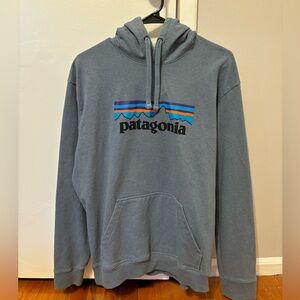 Light blue Patagonia hoodie
